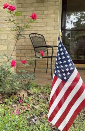 American Flag Roses
